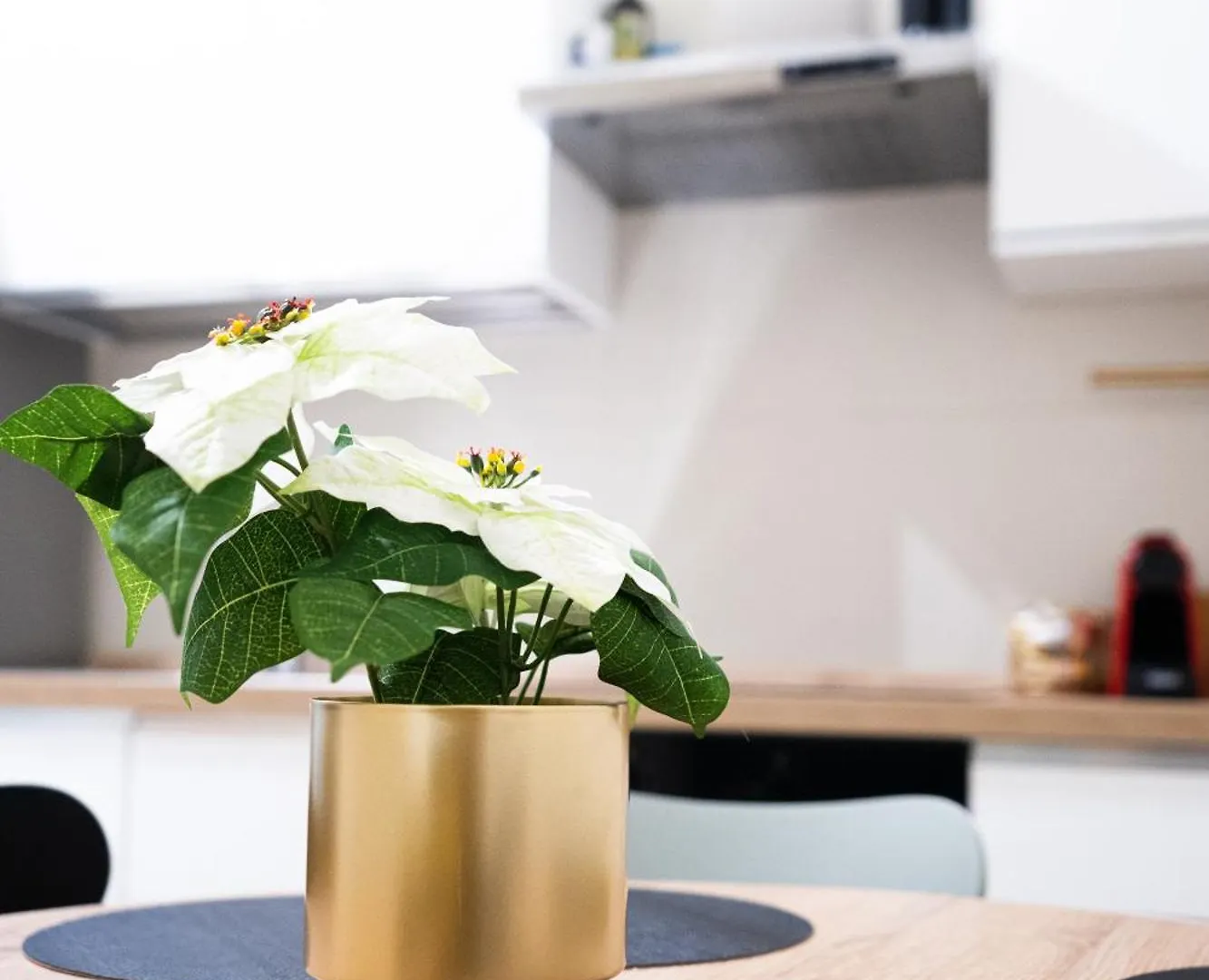 Verona Escape Home - 2 Bedrooms